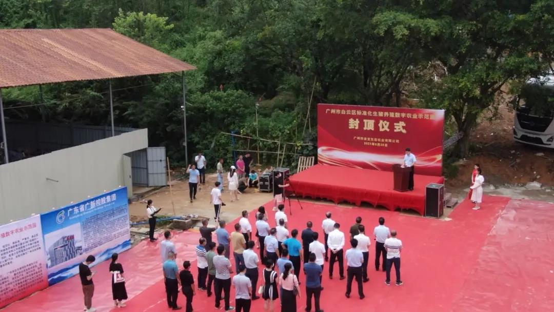 省食品广州生猪养殖基地——白云区金宝标准化生猪养殖数字农业示范园主体工程正式封顶 省食品广州生猪养殖基地——白云区金宝标准化生猪养殖数字农业示范园主体工程正式封顶