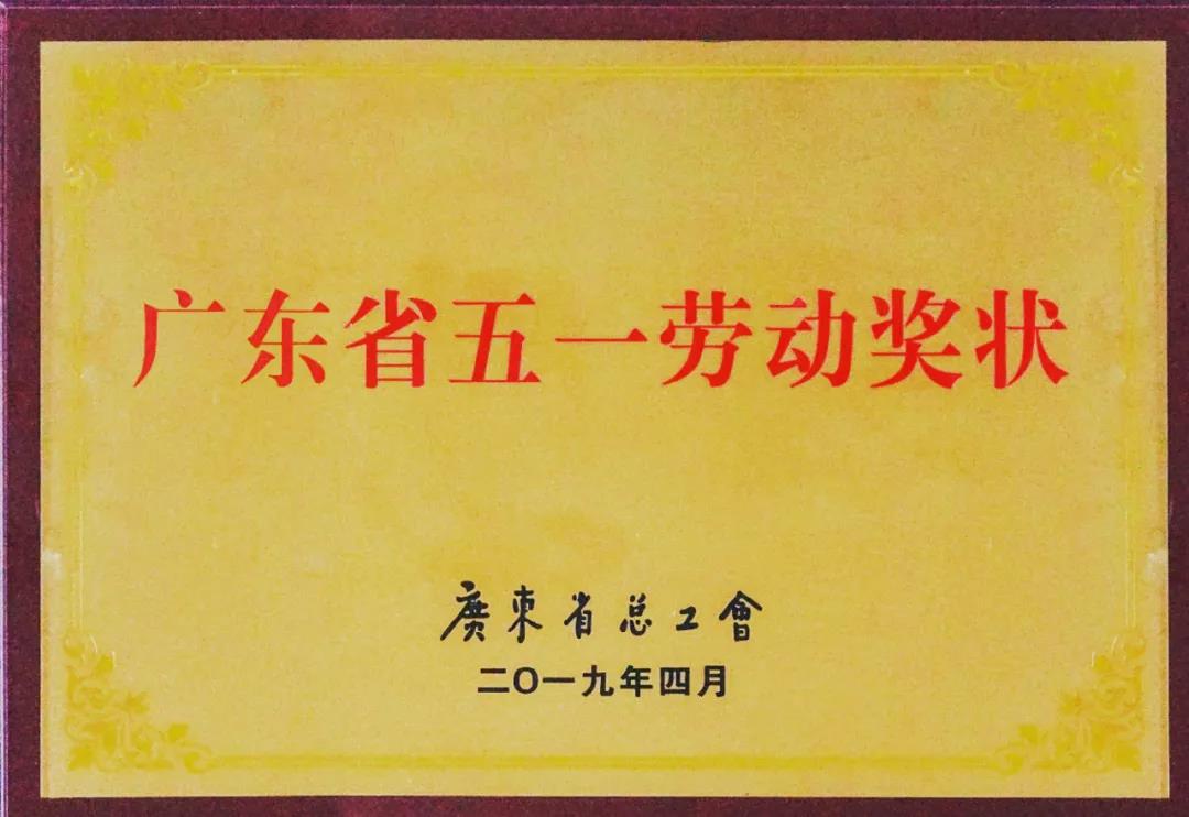 【“新tapplay 新风采”专题报道之四】 国义招标：tapplay官网，焕发国企新活力