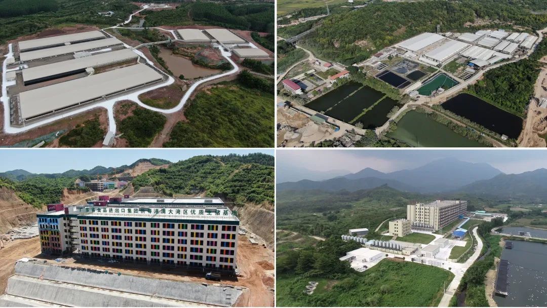tapplay集团深入贯彻全省高质量发展大会精神(六) tapplay集团深入贯彻全省高质量发展大会精神(六)