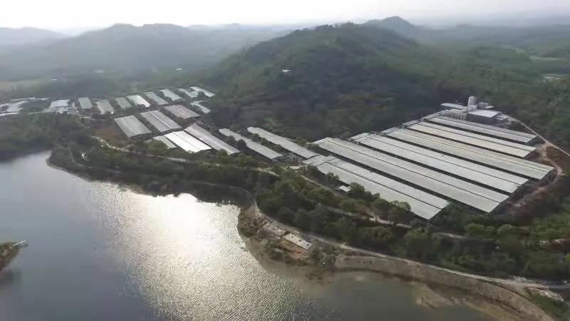 新增6家！tapplay集团国家高新技术企业达到38家