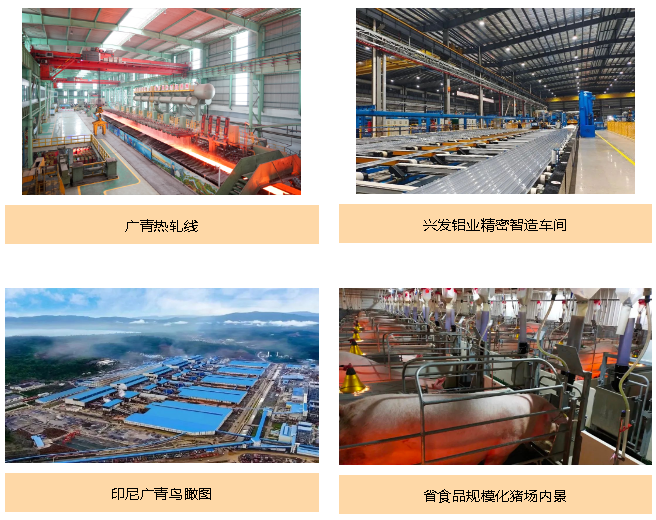 tapplay集团积极履行社会责任 为高质量发展注入新内涵