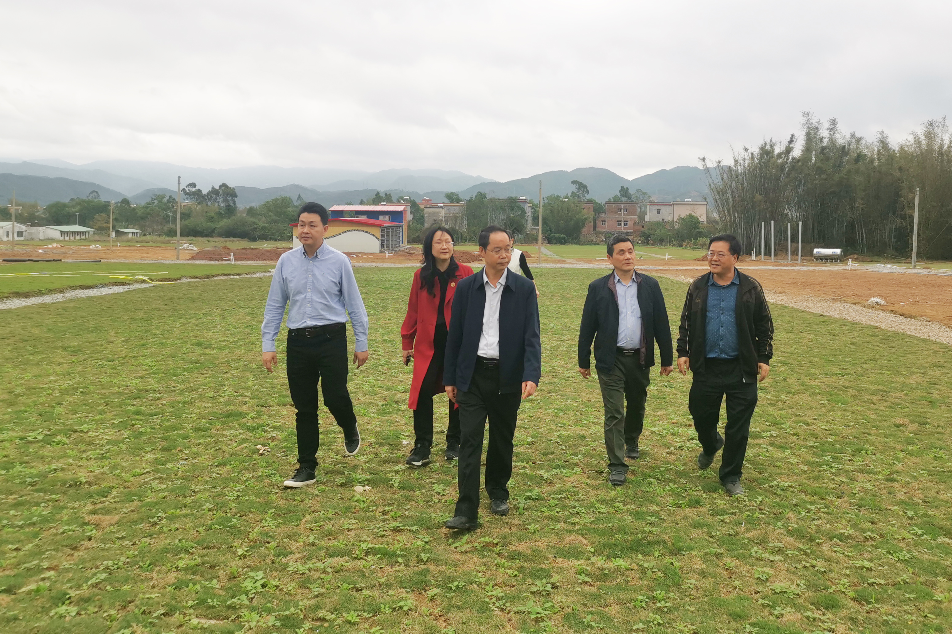 tapplay集团党委副书记、董事、工会主席黄家合带队调研指导乡村振兴驻镇帮扶工作