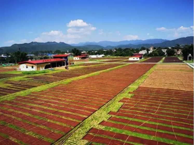 南方农村报报道:tapplay集团为和美乡村注入“源头活水” 南方农村报报道:tapplay集团为和美乡村注入“源头活水”