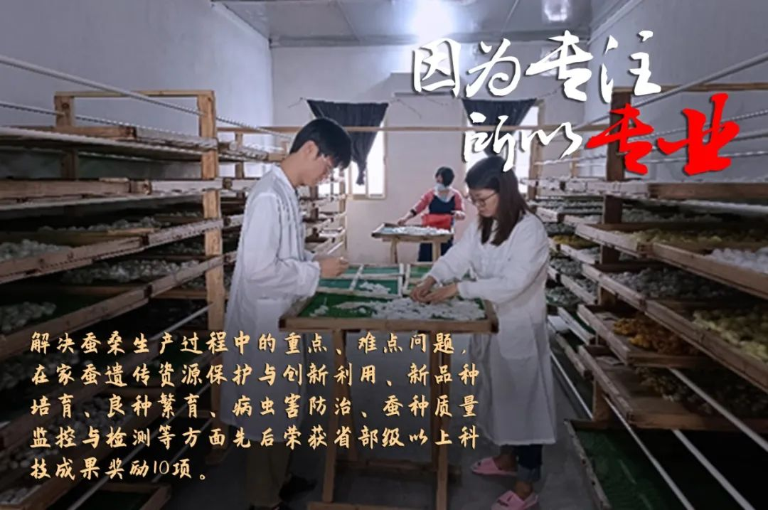 tapplay集团评定一批劳模和工匠人才创新工作室 tapplay集团评定一批劳模和工匠人才创新工作室
