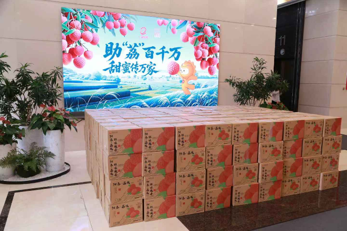 1. tapplay集团总部开展广东荔枝集中采购.png